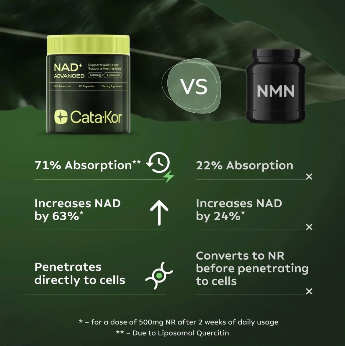 NAD Supplement for Anti-Aging, Energy Supplements, Focus - 60 Capsules
